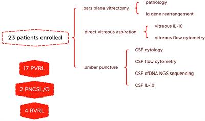 Circulating cell-free DNA and IL-10 from cerebrospinal fluids aid primary vitreoretinal lymphoma diagnosis